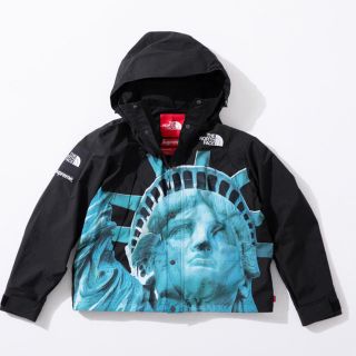 シュプリーム(Supreme)の supreme The North Face Mountain Jacket(マウンテンパーカー)