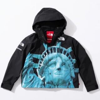 シュプリーム(Supreme)のsupreme the northface マンパ　　タカフミ様専用(マウンテンパーカー)