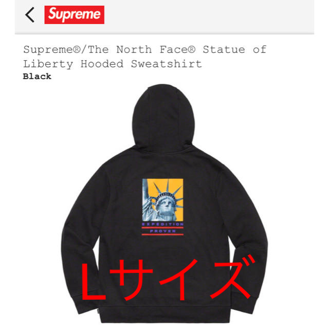 Supreme The north face