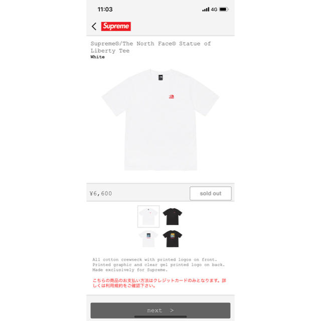 Supreme(シュプリーム)のSupreme The North Face  tee メンズのトップス(Tシャツ/カットソー(半袖/袖なし))の商品写真