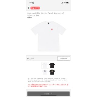 シュプリーム(Supreme)のSupreme The North Face  tee(Tシャツ/カットソー(半袖/袖なし))