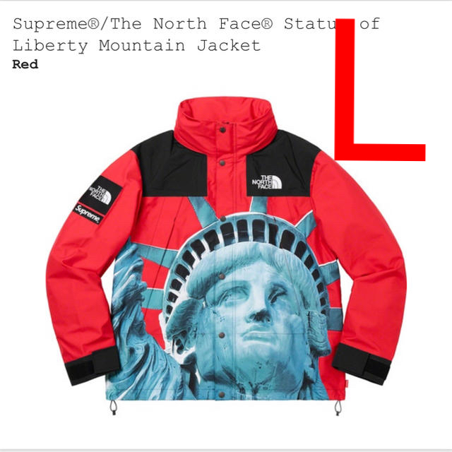 THE NORTH FACE - Supreme TheNorthFace Mountain Jacket L