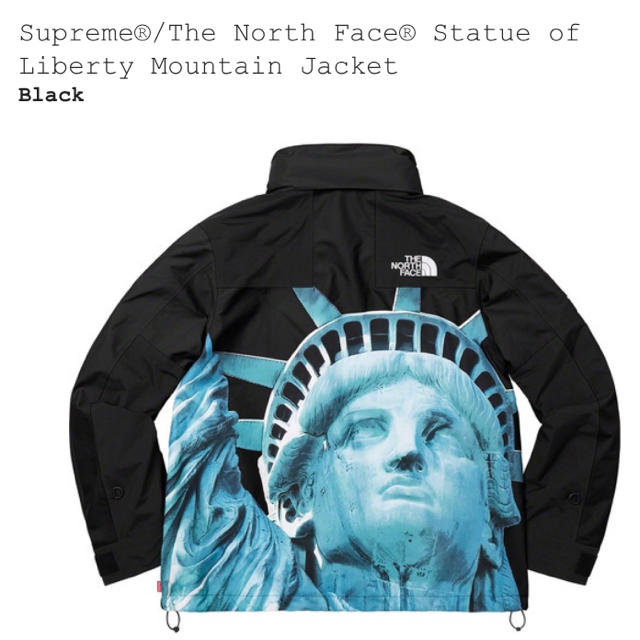 Supreme(シュプリーム)のsupreme north face Mountain Jacket S メンズのジャケット/アウター(マウンテンパーカー)の商品写真