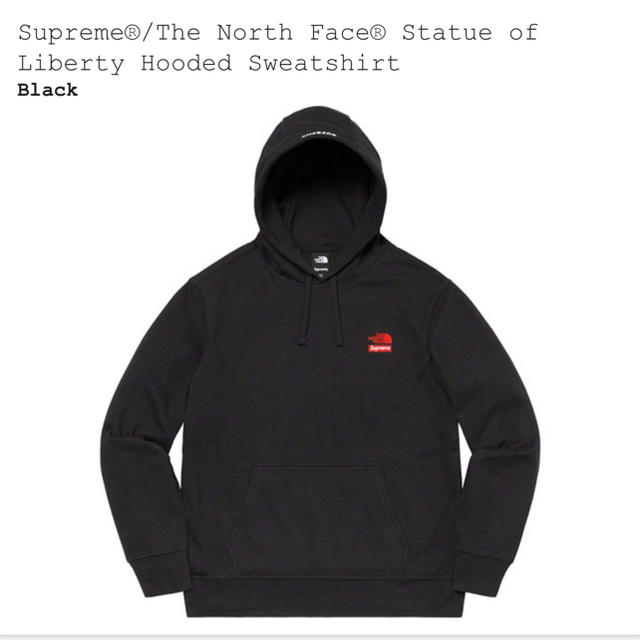 supreme the north face hoodie black M