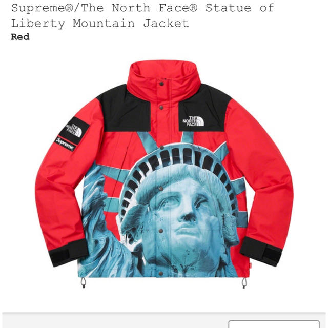 Supreme - Supreme  The North Face Mountain Jacket