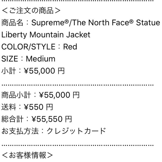 Supreme(シュプリーム)のSupreme  The North Face Mountain Jacket メンズのジャケット/アウター(マウンテンパーカー)の商品写真