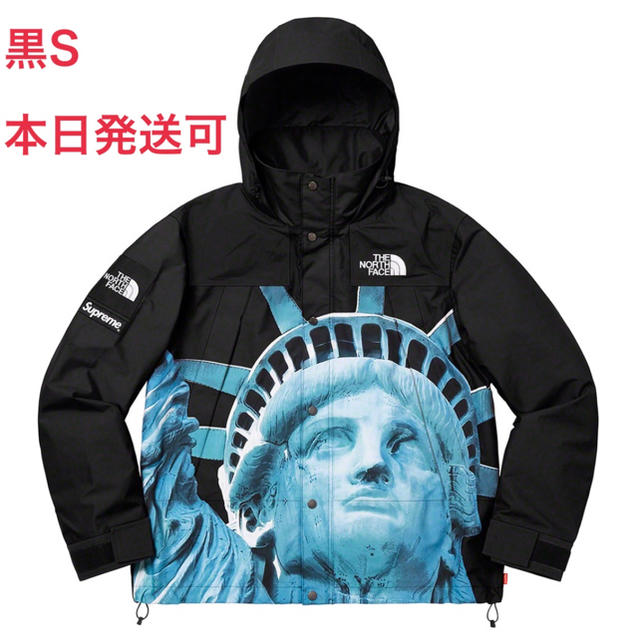 Supreme × The North Face Mountain Jacket