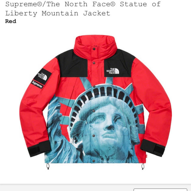 メンズSupreme The North Face mountain jacket