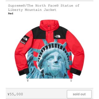 シュプリーム(Supreme)のsupreme the north face mountain jacket M(マウンテンパーカー)