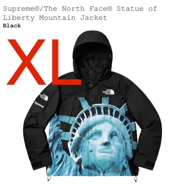 Supreme North Face Mountain Jacket