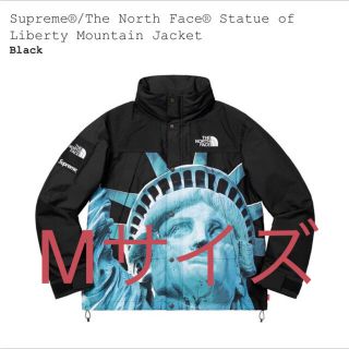 シュプリーム(Supreme)のsupreme The North Face Mountain Jacket(マウンテンパーカー)