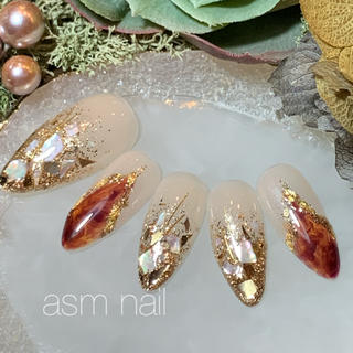 ネイルチップ ジェルネイル asmnail