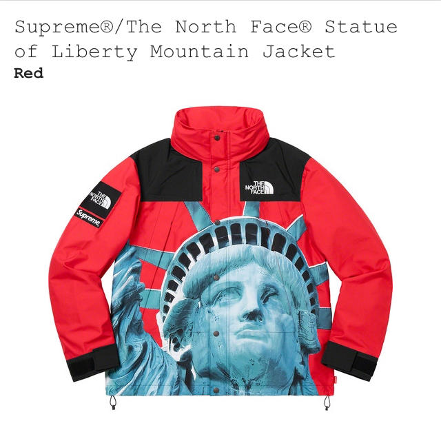 Supreme(シュプリーム)のMサイズ　supreme ×The North Face Mountain メンズのジャケット/アウター(マウンテンパーカー)の商品写真