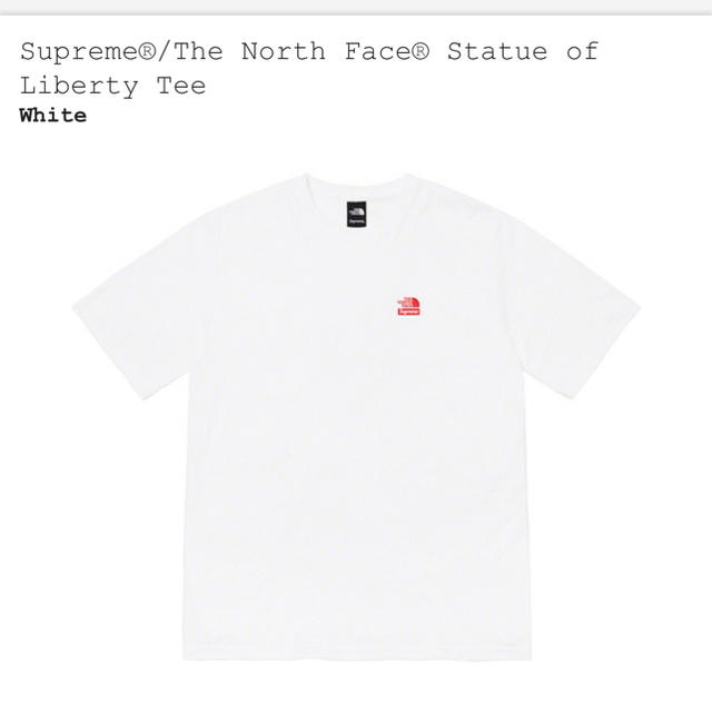 supreme north face statue liberty tee  L