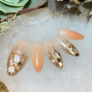 ネイルチップ ジェルネイル asmnail