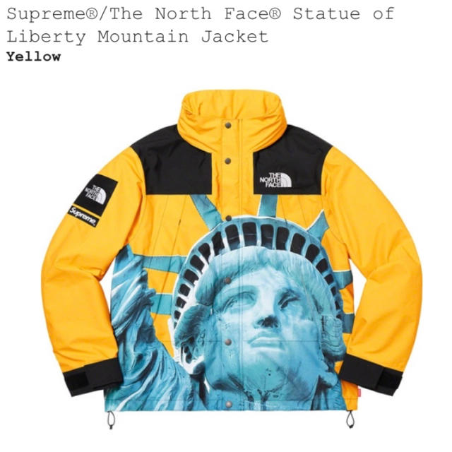 supreme×The North Face Mountain Jacket Mメンズ