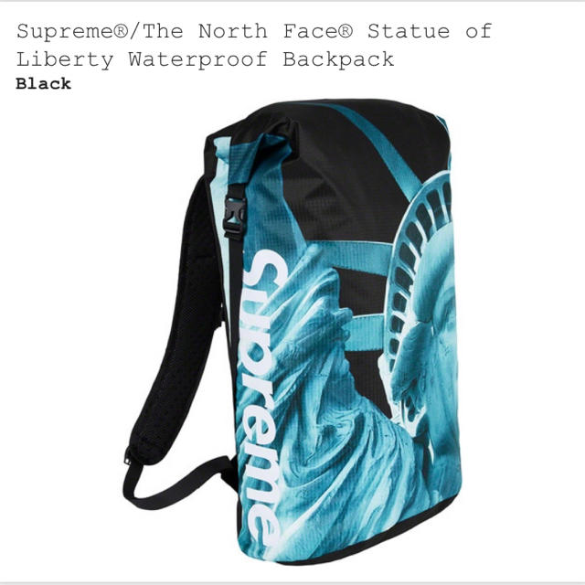 SUPREME THE NORTH FACE BACKPACK バックパックメンズ