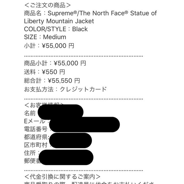 supreme north face Mountain Jacket M 黒 2