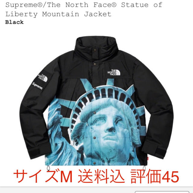 Supreme - Statue of Liberty Mountain Jacket