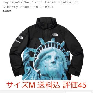 シュプリーム(Supreme)のStatue of Liberty Mountain Jacket(マウンテンパーカー)