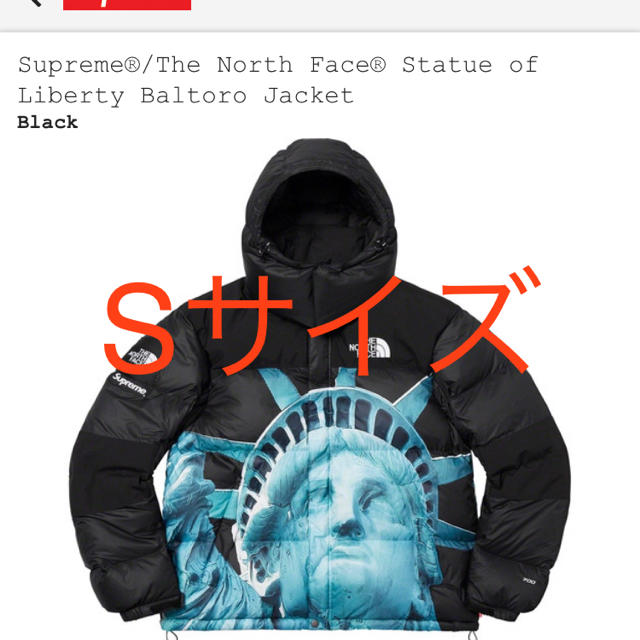Supreme - Supreme The North Face バルトロ黒S