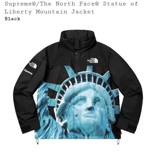 Supreme - supreme×the north face mountain jacket M