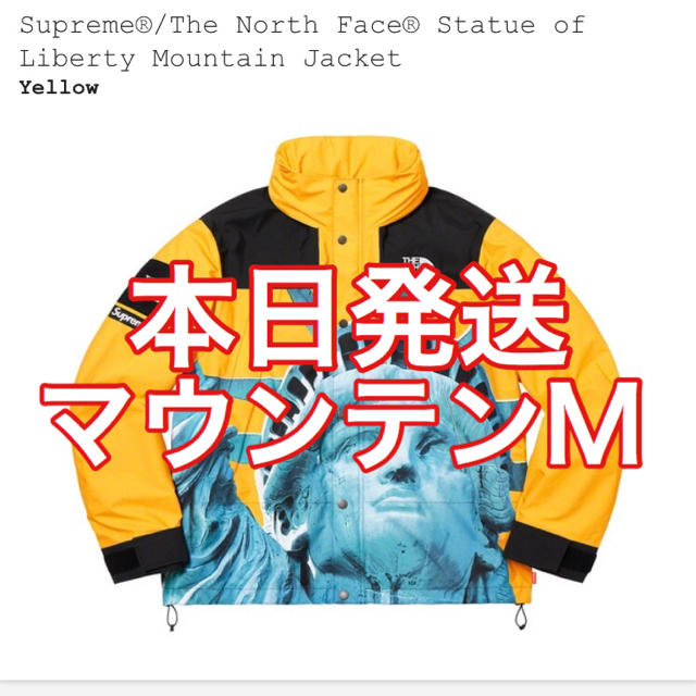 Supreme - Supreme The North Face Mountain Jacket M