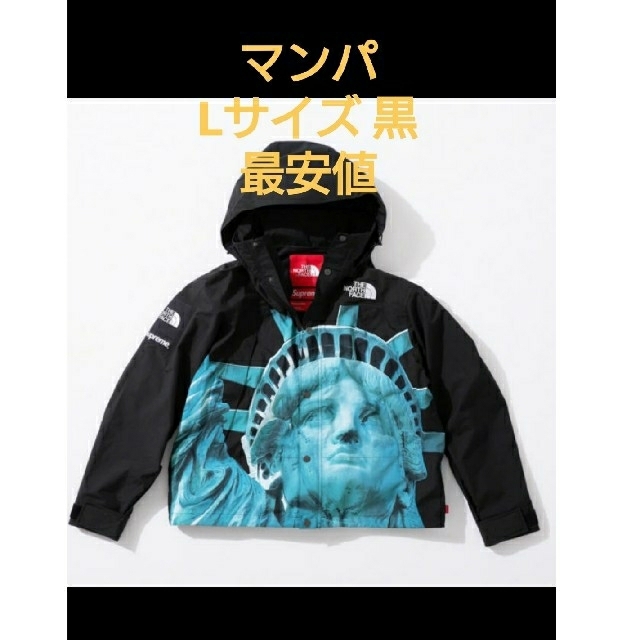 専用Supreme TNF Mountain Parka Lサイズマウンテンパーカー