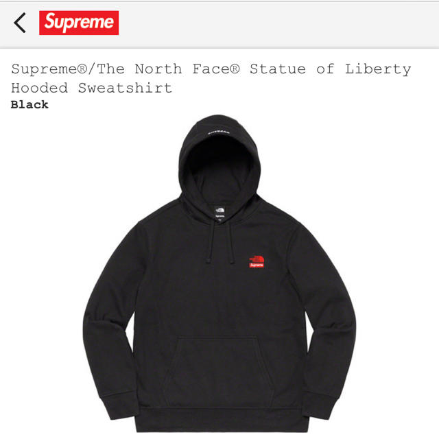 supreme Statue of Liberty tee north face