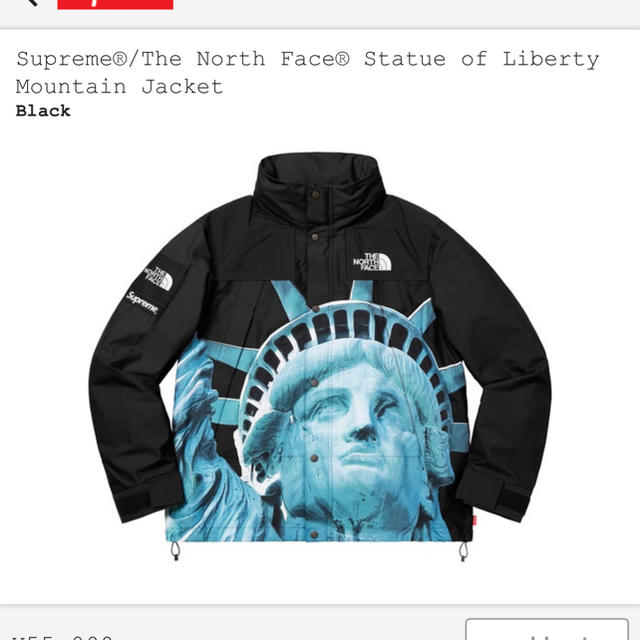 Supreme The north face マンパ Lサイズ