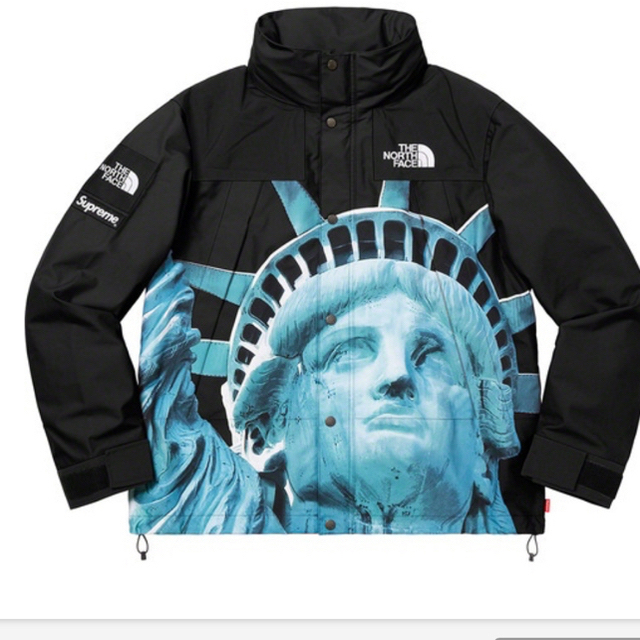 マウンテンパーカーSupreme  The north face マウンテンパーカー　L