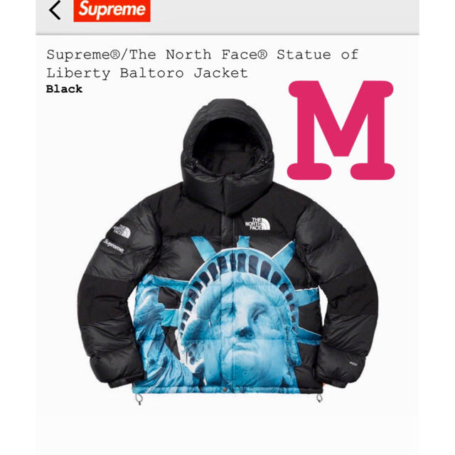 Supreme®/The North Face® Baltoro Jacket