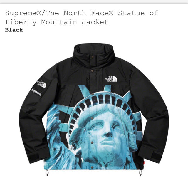 黒M supreme × the north face マウンテン ジャケット