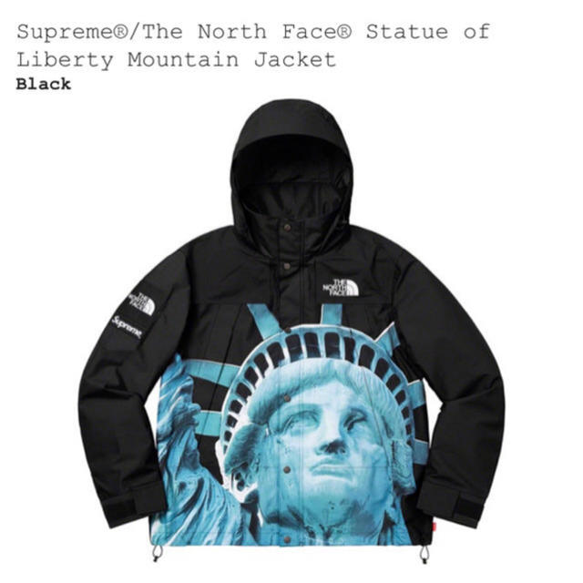 Supreme®/The North Face® Mountain Jacket