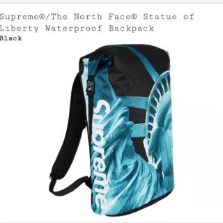 シュプリーム(Supreme)のSupreme north face water proof backpack(その他)