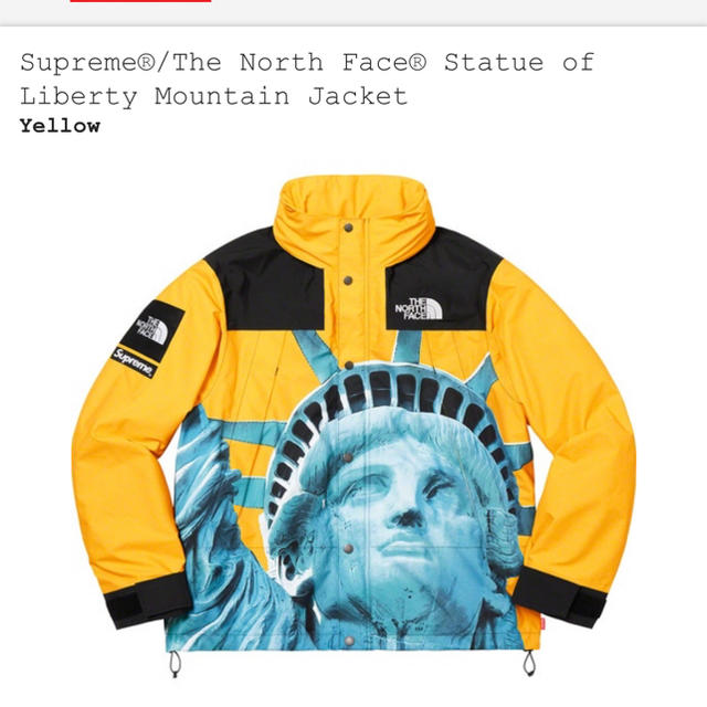 マウンテンパーカーSupreme the north face mountain jacket M