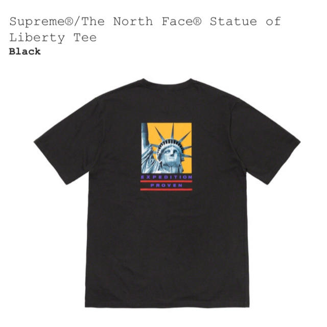 Supreme The North Face Tee