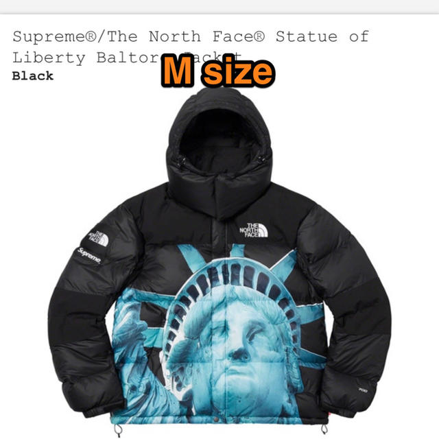 supreme the north face バルトロ　Mサイズ