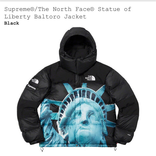 Supreme the north face バルトロ