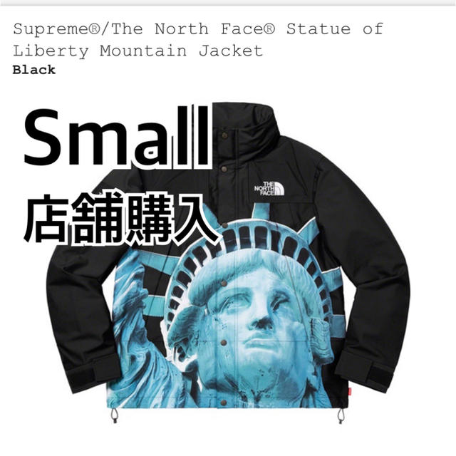 Supreme north face mountain Jacket