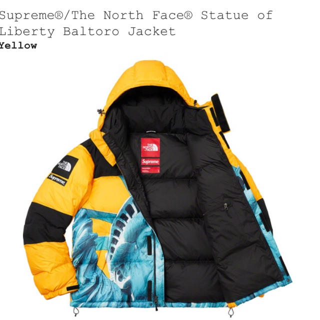 Supreme(シュプリーム)の123様専用 supreme×north face バルトロ イエロー L メンズのジャケット/アウター(ダウンジャケット)の商品写真