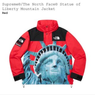 シュプリーム(Supreme)の最安値 Supreme North Face Mountain Jacket M(マウンテンパーカー)