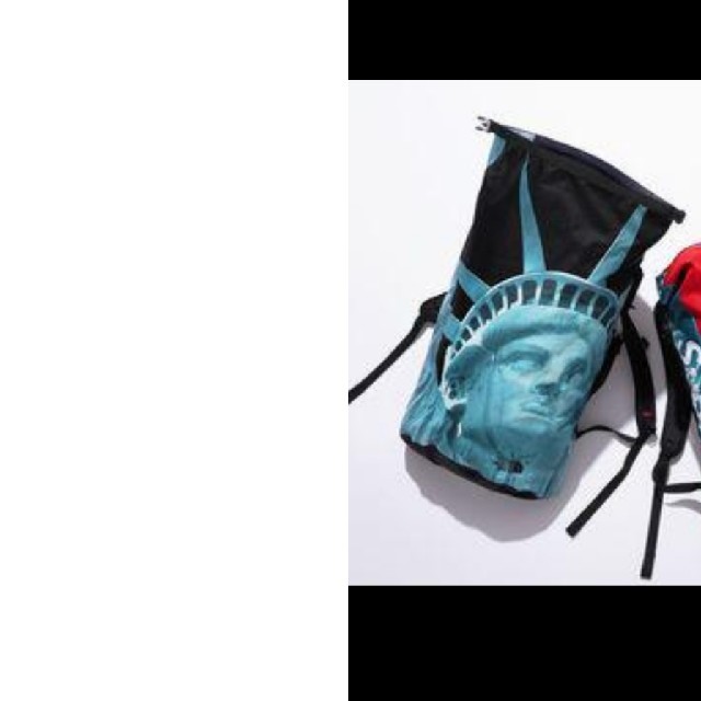 メンズsupreme the north face backpack