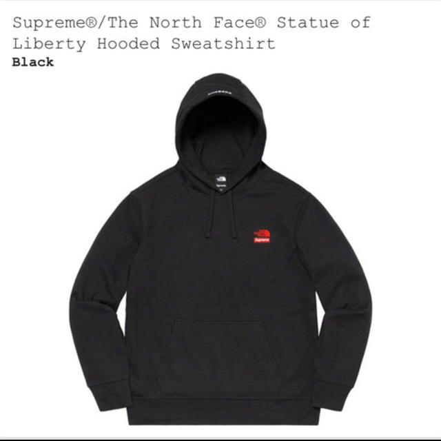 Mサイズ supreme THE NORTH FACE パーカー - www.sorbillomenu.com