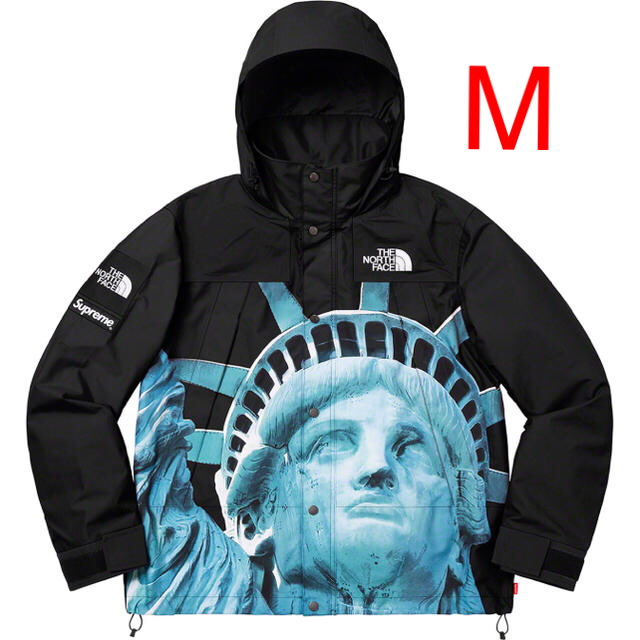 ジャケット/アウターSupreme The North Face M