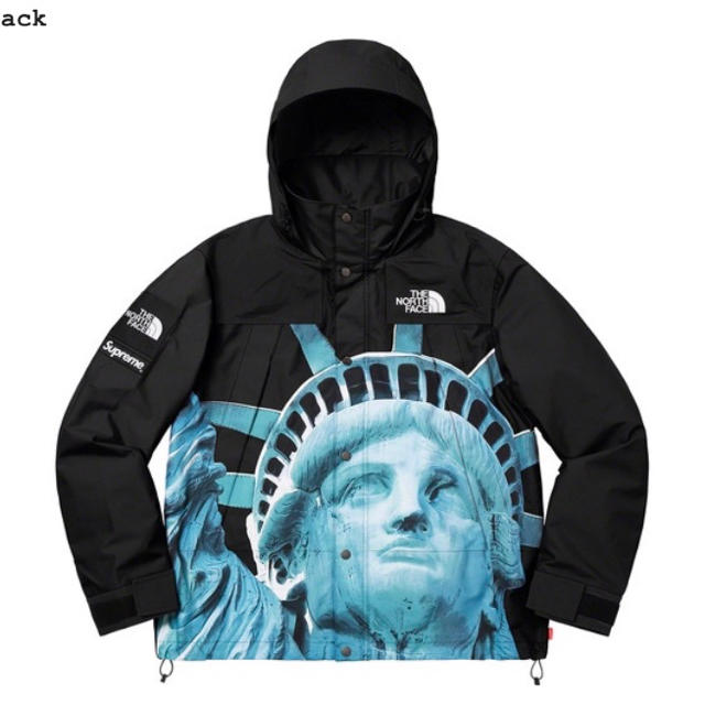 逸品】 The Supreme - Supreme North Mサイズ Face マウンテンパーカー