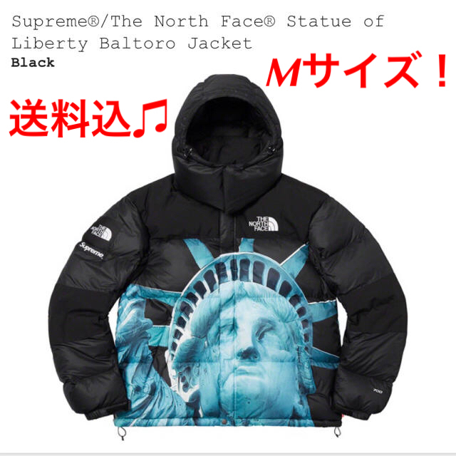 Supreme The North Face Baltoro Jacket