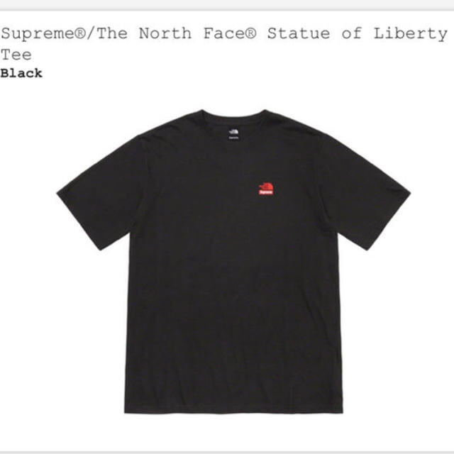 Supreme The North face Tee Tシャツ m ブラック