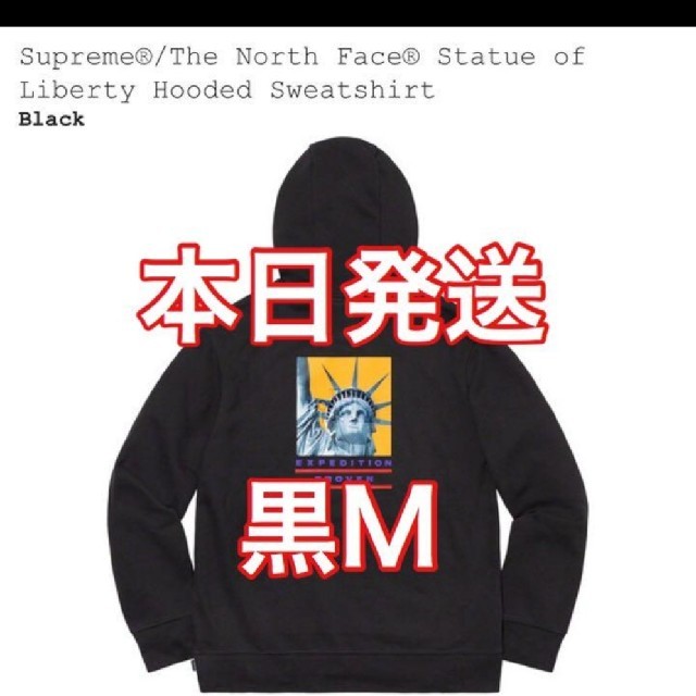 Supreme The North Face Hooded Sweatshirt