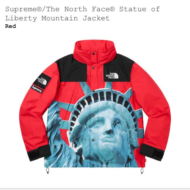 supreme north face マウンテンパーカー